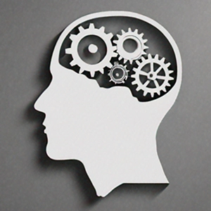 Что такое мозг и как он устроен?